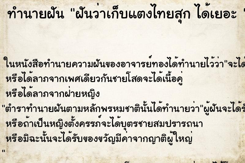 ทำนายฝันทำนายฝันฝันว่าเก็บแตงไทยสุกได้เยอะ